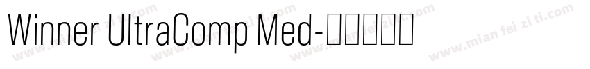 Winner UltraComp Med字体转换